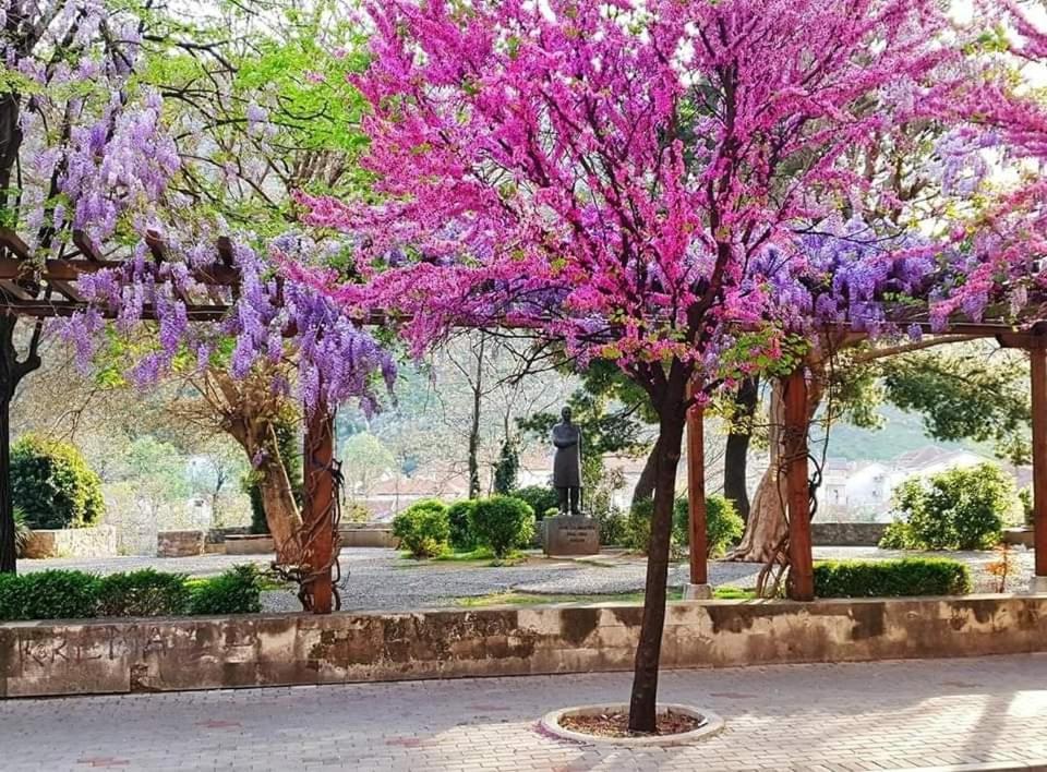 מוסטר Apartment With Garden Hanja מראה חיצוני תמונה